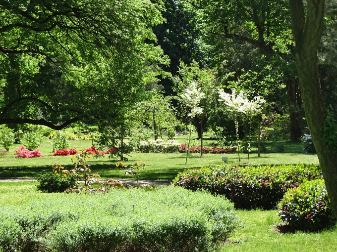 Szombathely-kámoni arborétum - park2