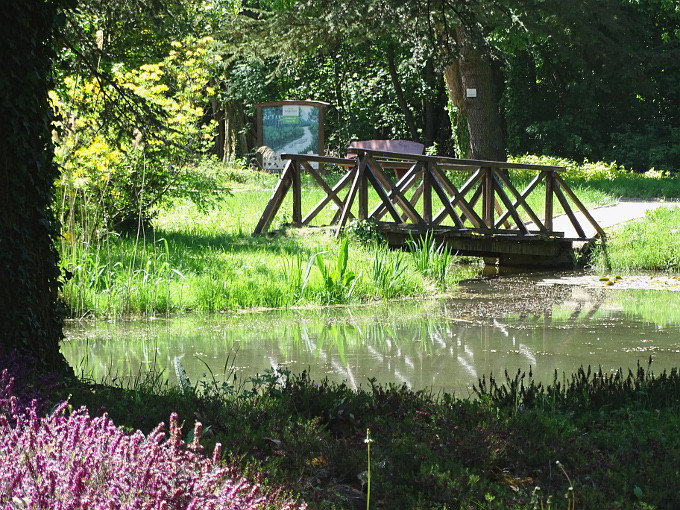 Szombathely-kámoni arborétum - park8