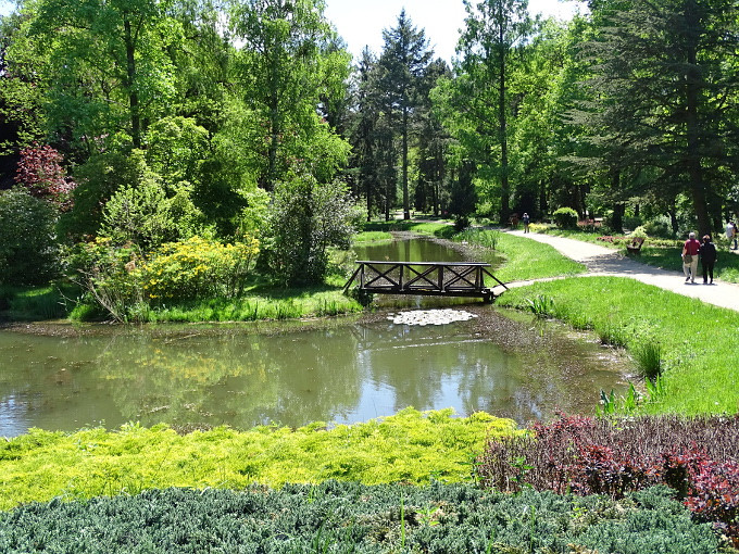 Szombathely-kámoni arborétum - park14