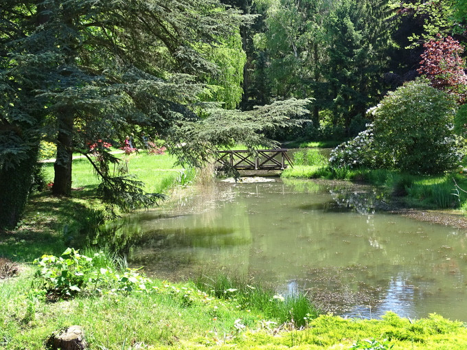 Szombathely-kámoni arborétum - park15