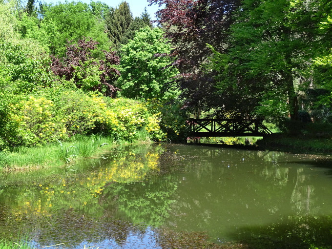 Szombathely-kámoni arborétum - park17