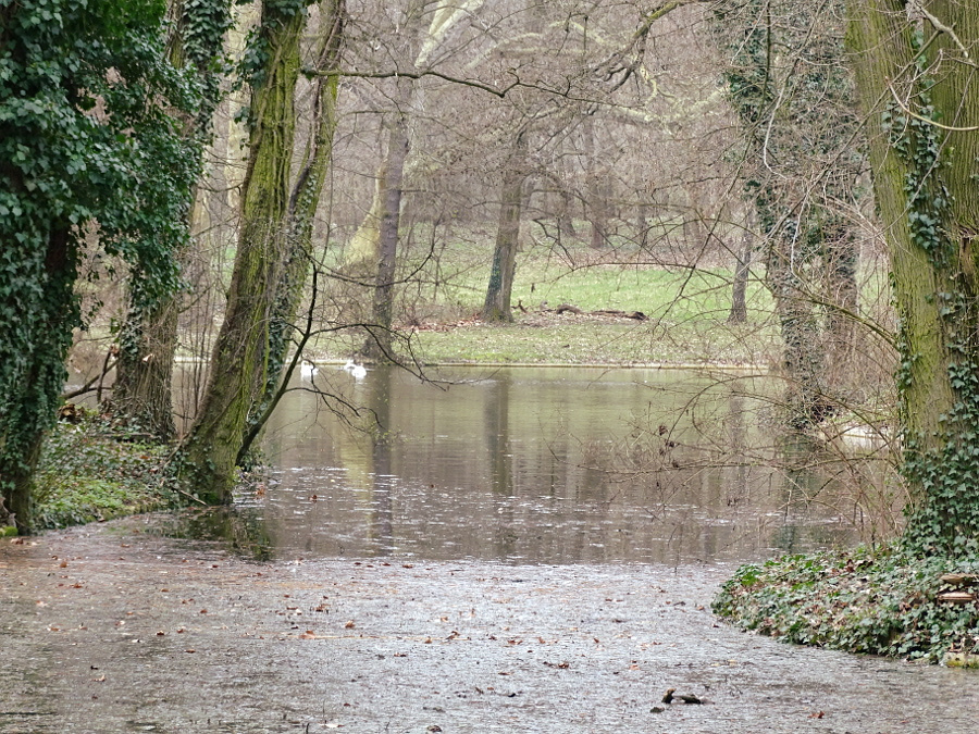 Alcsút arborétum - 14