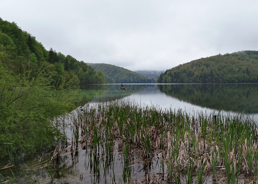 Plitvice - felsőtavak 6