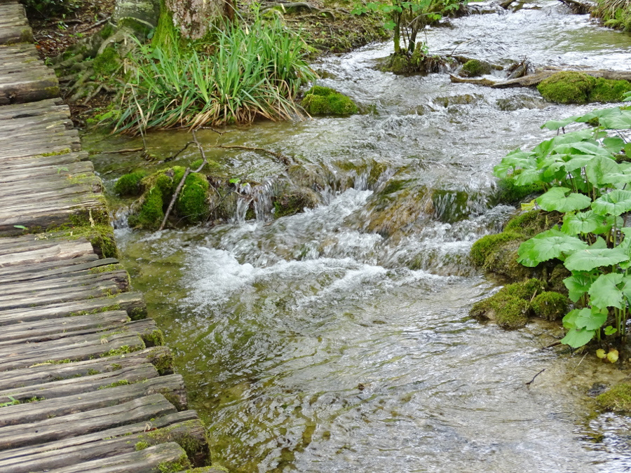 Plitvice - felsőtavak 22