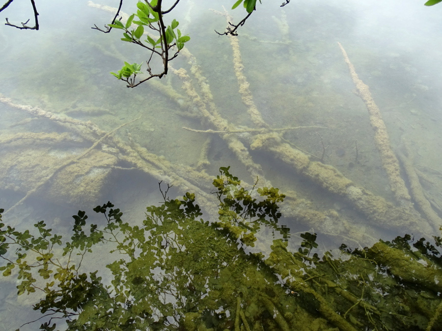 Plitvice - felsőtavak 32