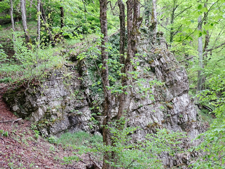 Plitvice - felsőtavak 31