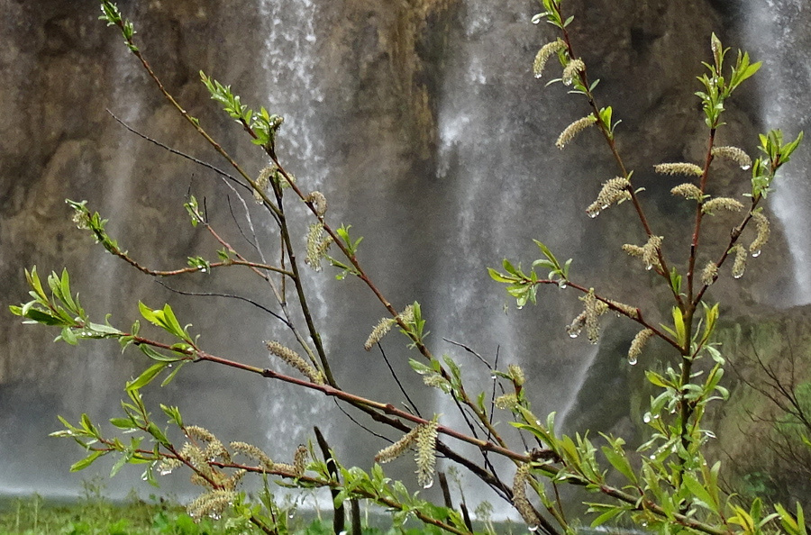 Plitvice - felsőtavak 44