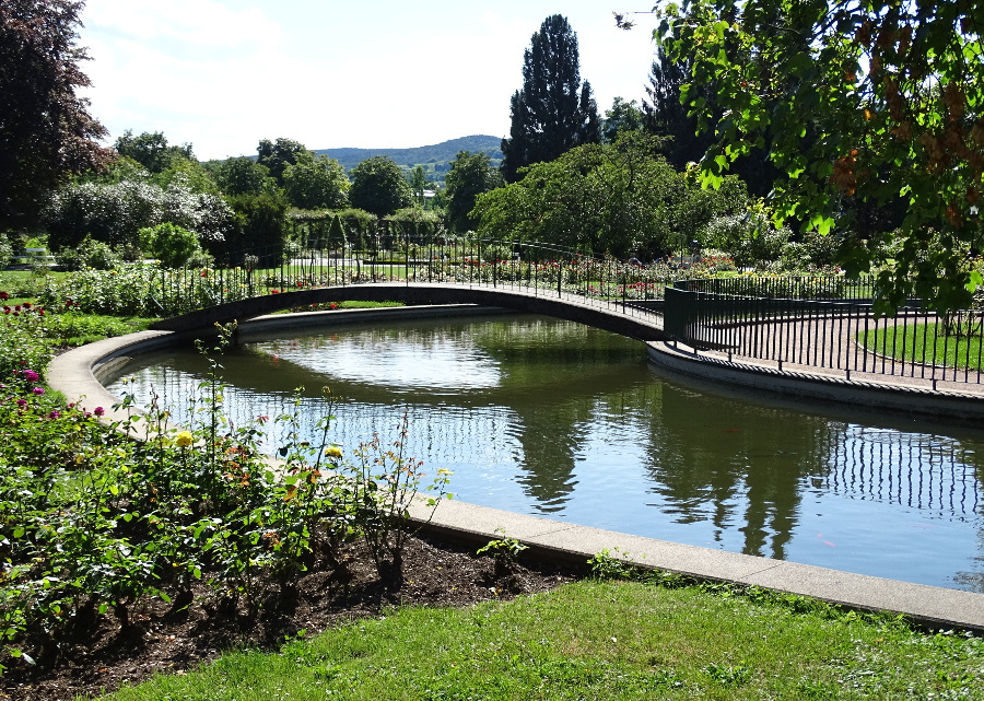 Baden - rosarium park1