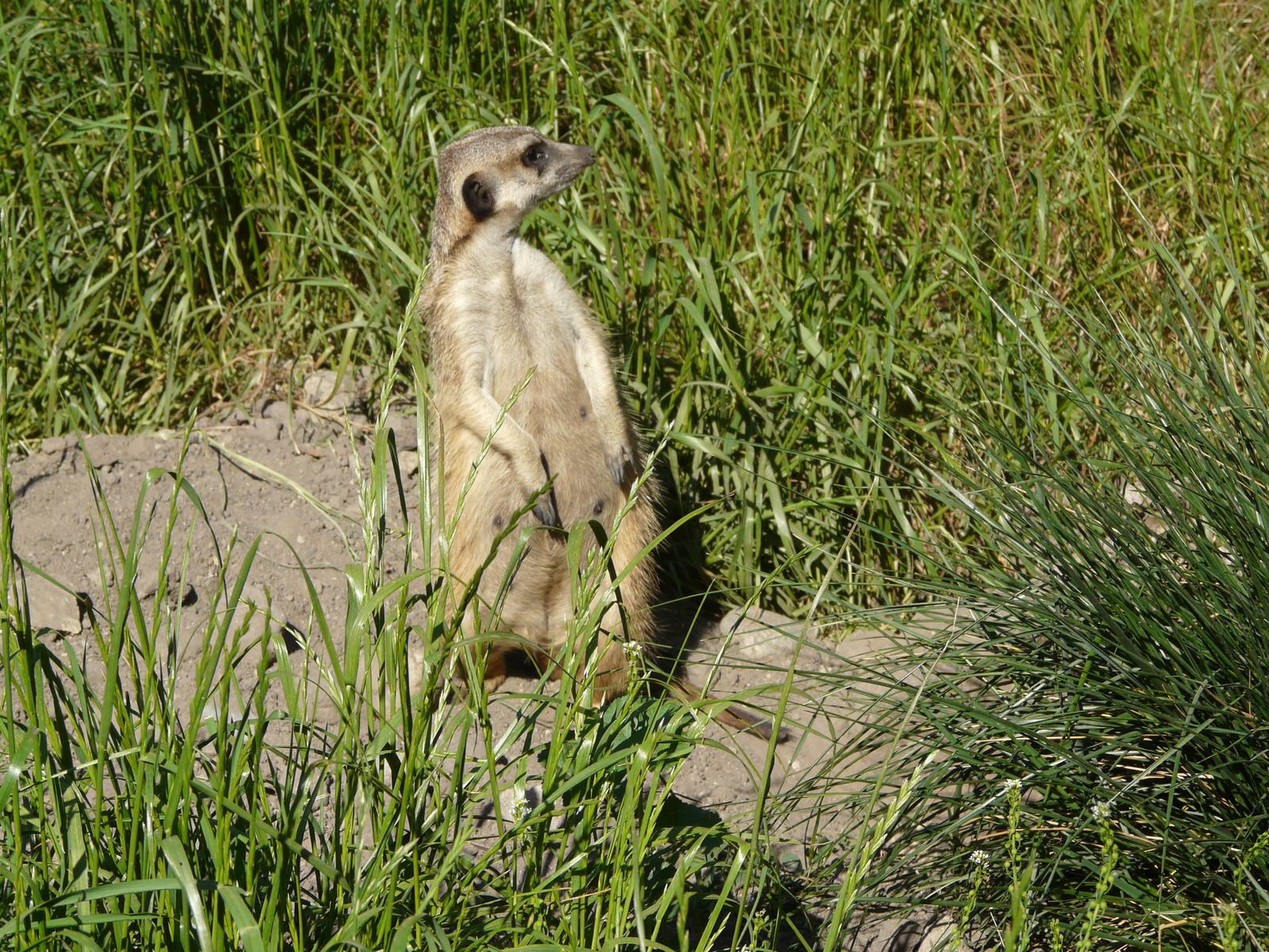 Osztálykirándulás 2009 066