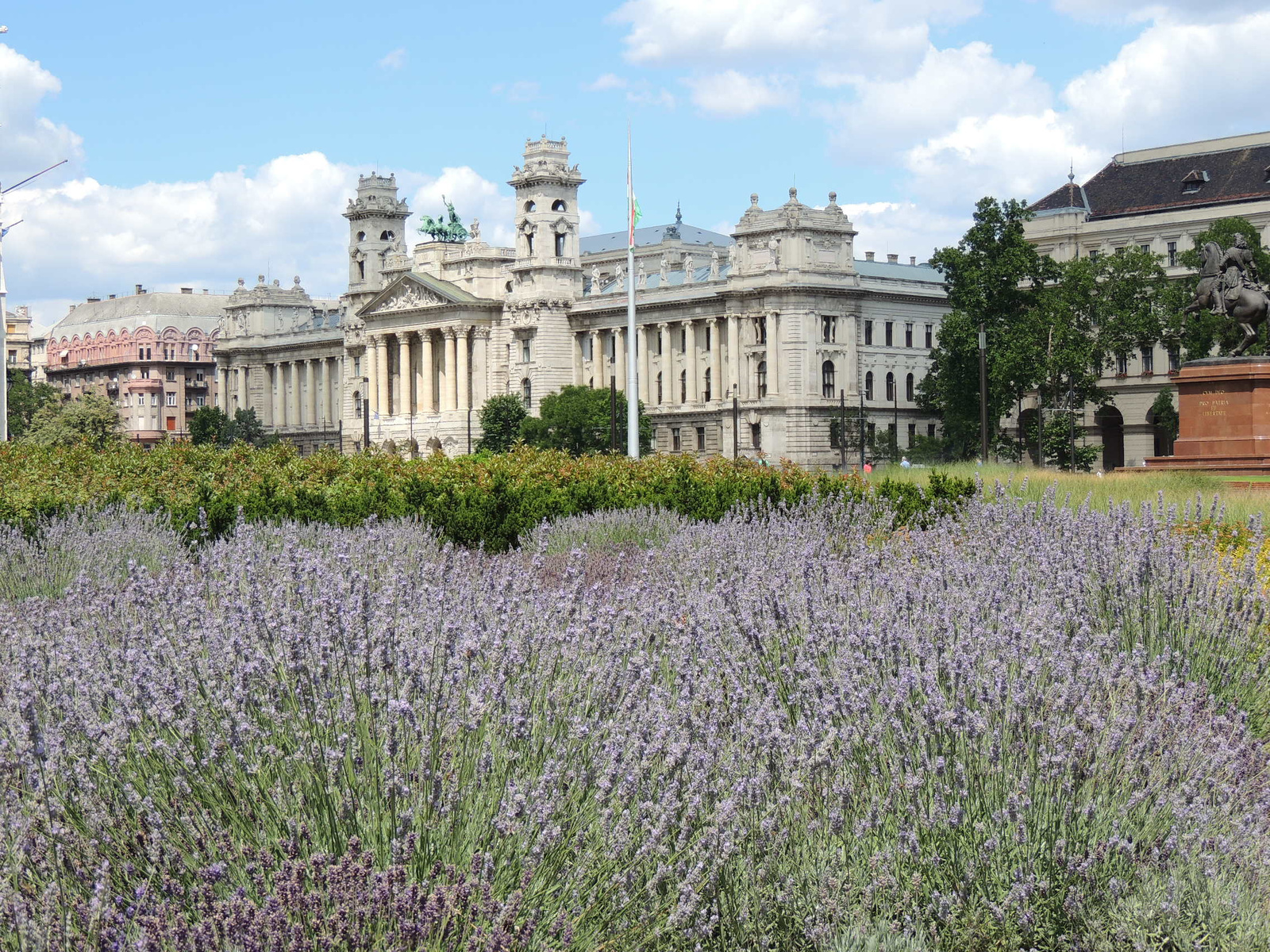 2015-06-30 018 Kossuth tér levendulása