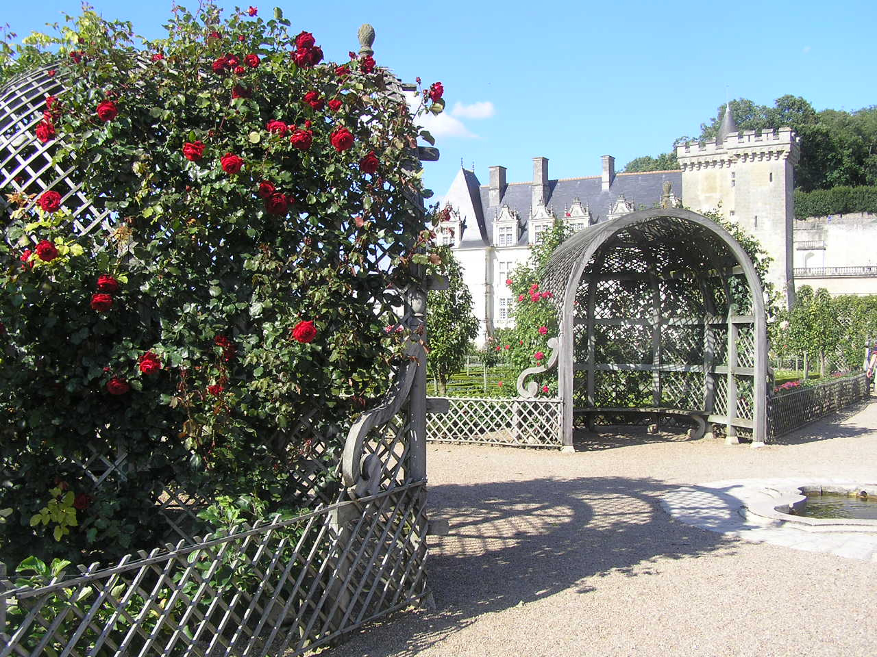 0435 Villandry rózsalugas