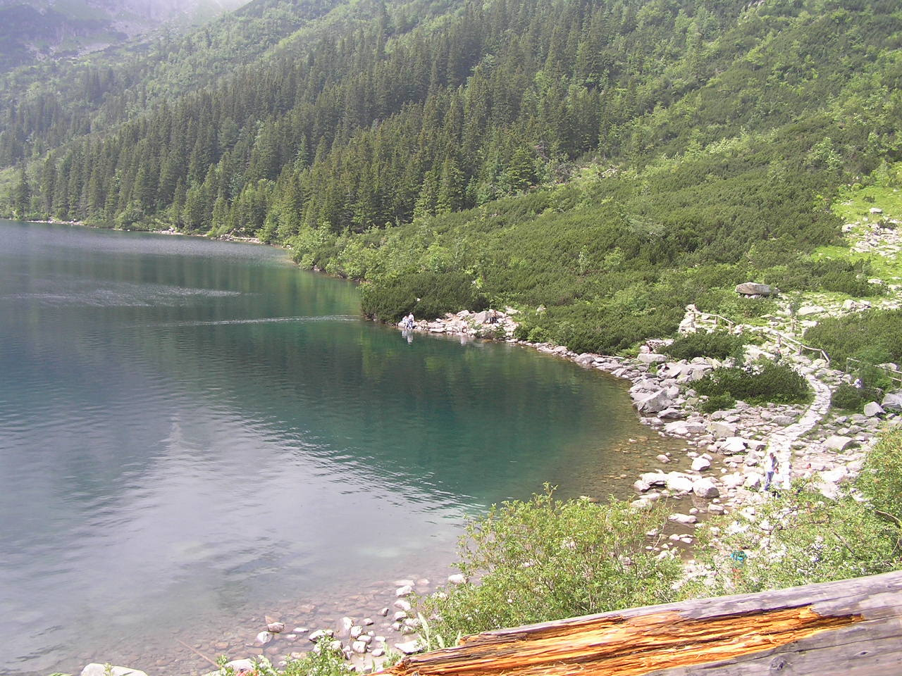 1354 Morskie Oko