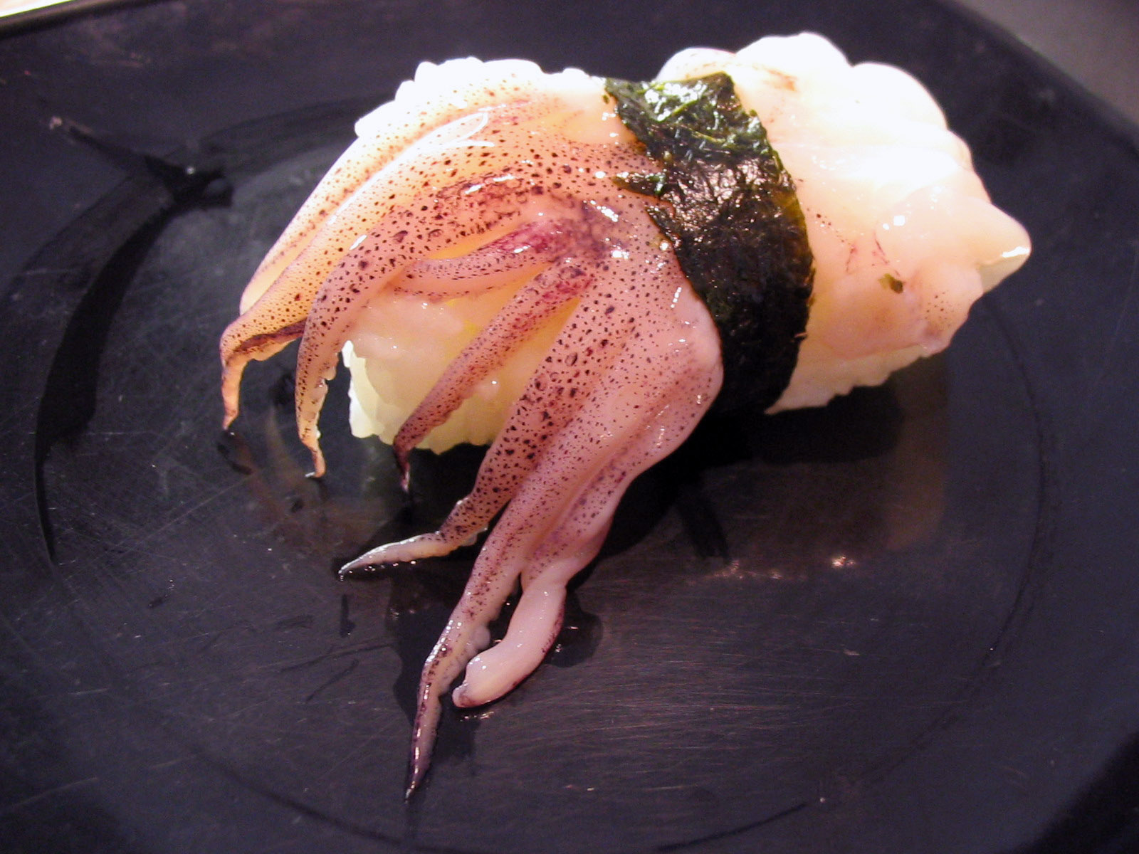 szusi polip nigiri