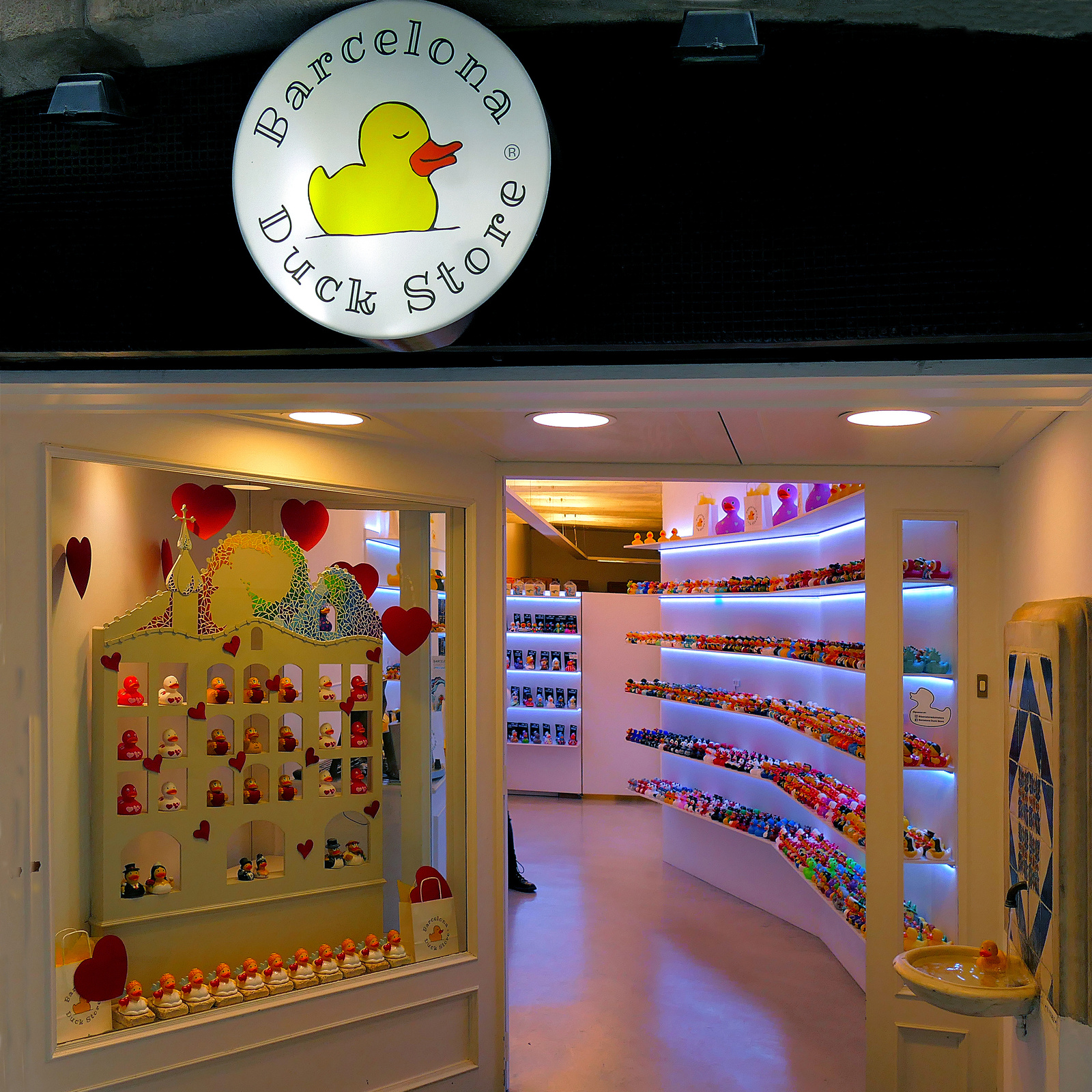 Costa - Barcelona - Duck store