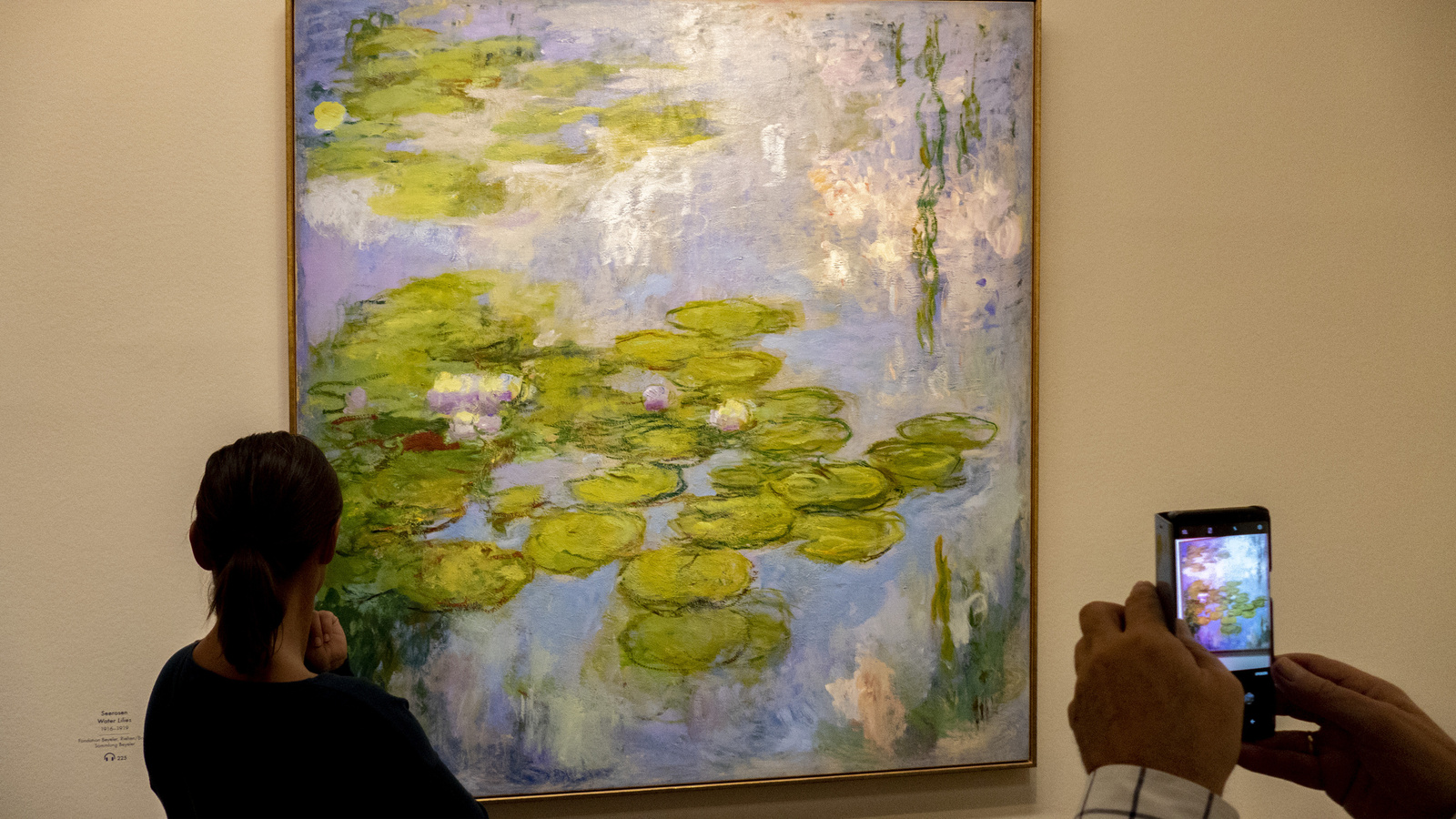 Bécs Claude Monet - Water lilies (1916-1919)