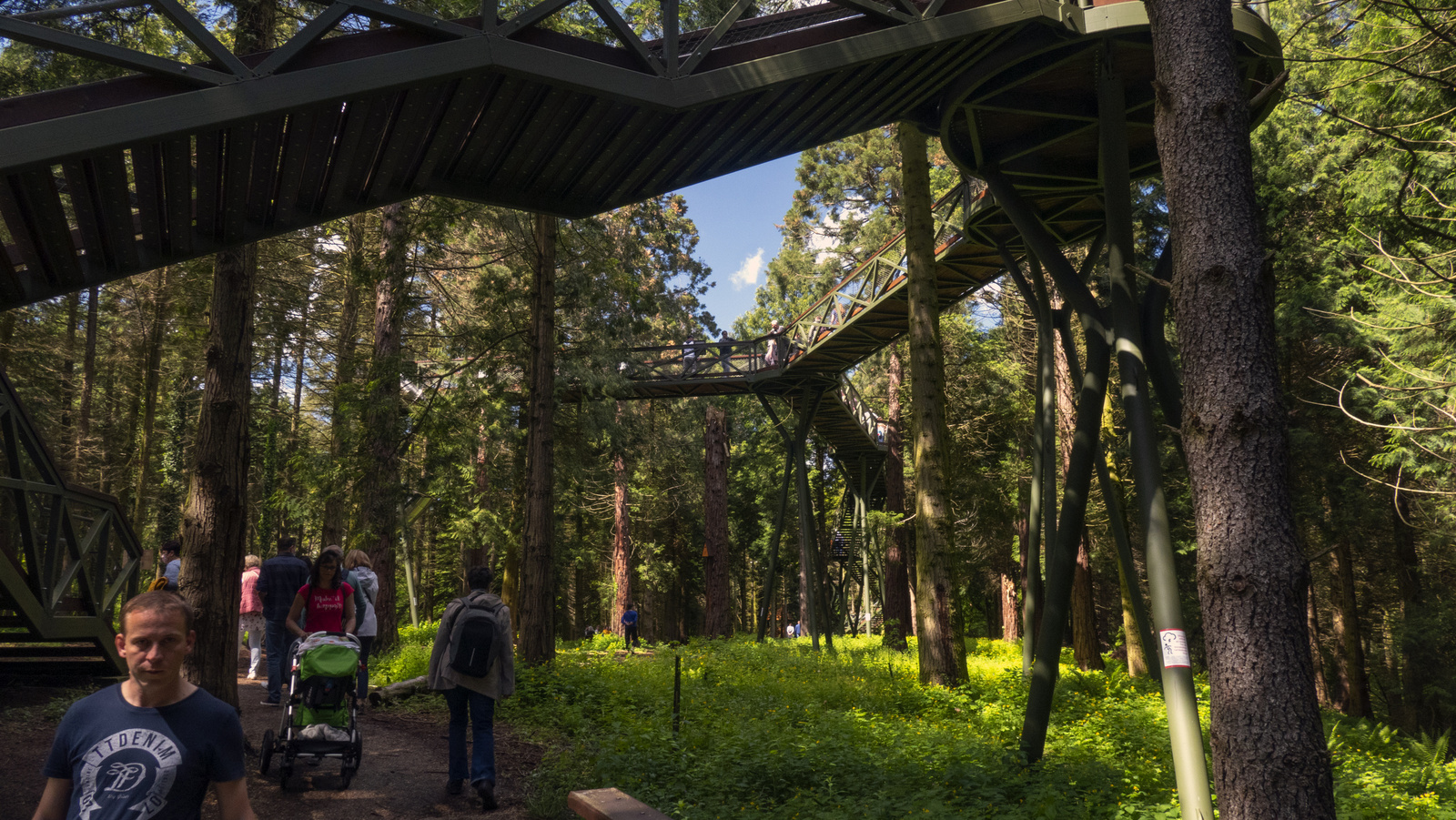 Jeli arborétum - lombkorona sétány