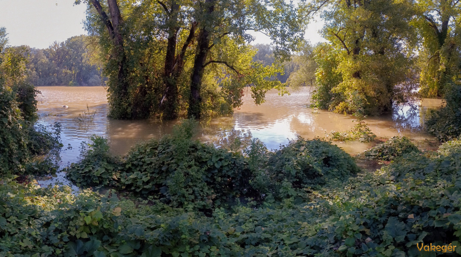 Háros-szigeti ártéri erdő Nagytétény - Duna–Ipoly Nemzeti Park