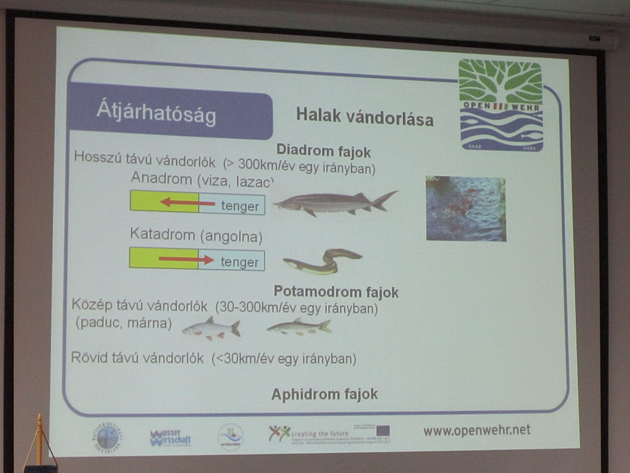 OPENWEHR – duzzasztók átjárhatósága