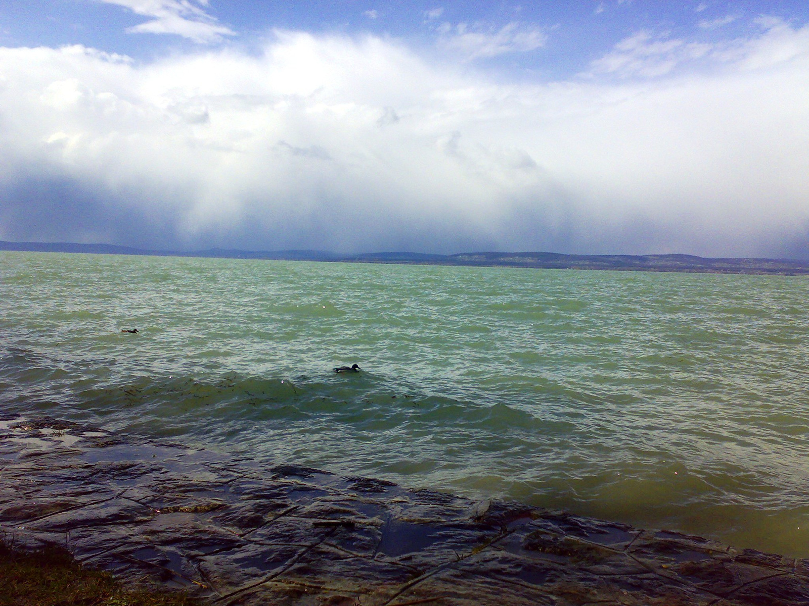 Balatonföldvár 20080320 24