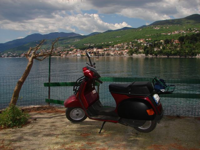 Vespa, tenger, Opatia