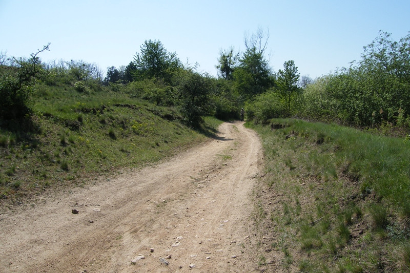 Velencei tó körbe (65)