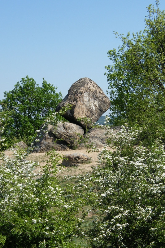 Velencei tó körbe (93)