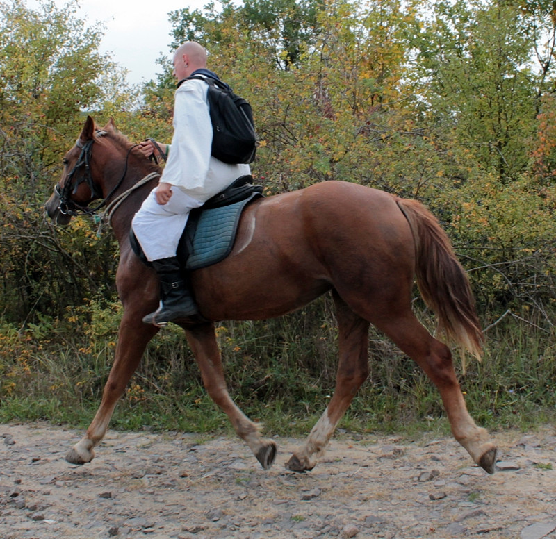 Börzsönyi Indafotóséta (38)