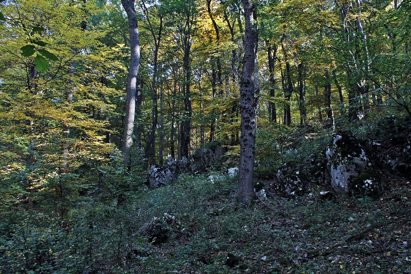 Fotóséta a Pilisben (82)