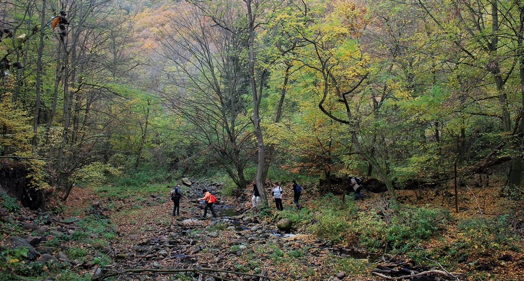 Indafotósétákok a Pilisben (10)