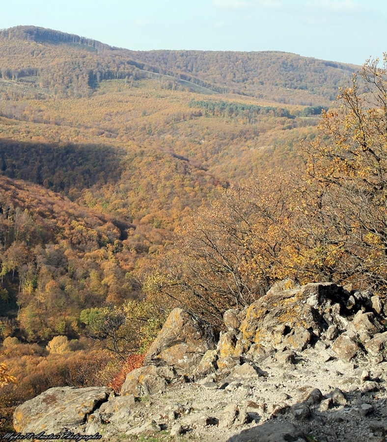 Indafotósétákok a Pilisben (94)