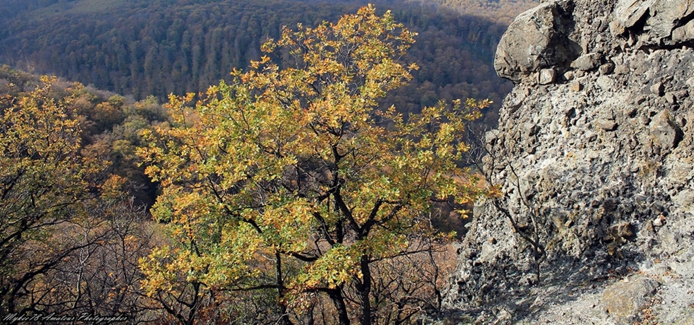 Indafotósétákok a Pilisben (114)