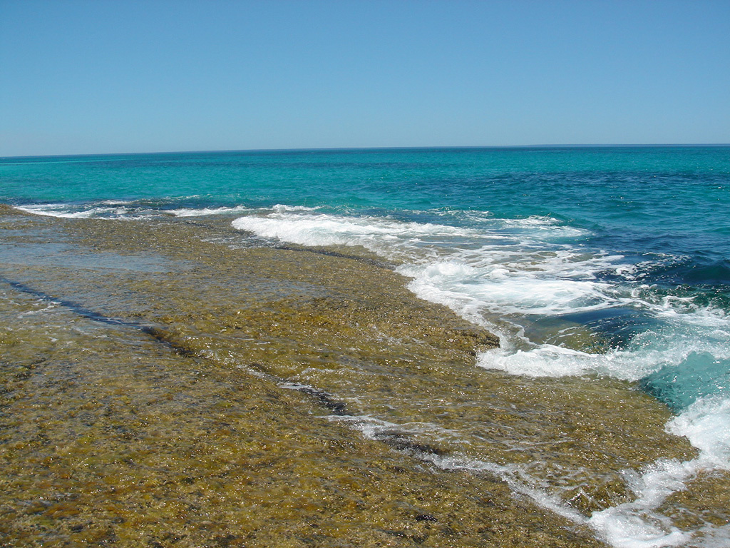 Australia 2007 -4- YANCHEP 374