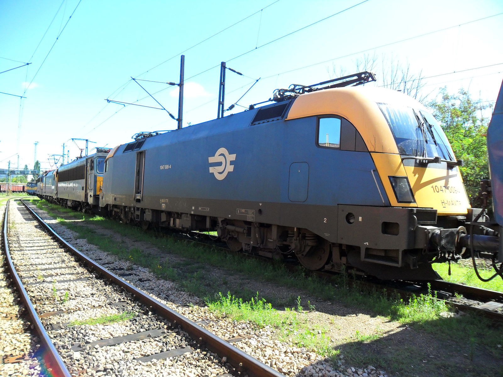 MAV 1047 009-4-1