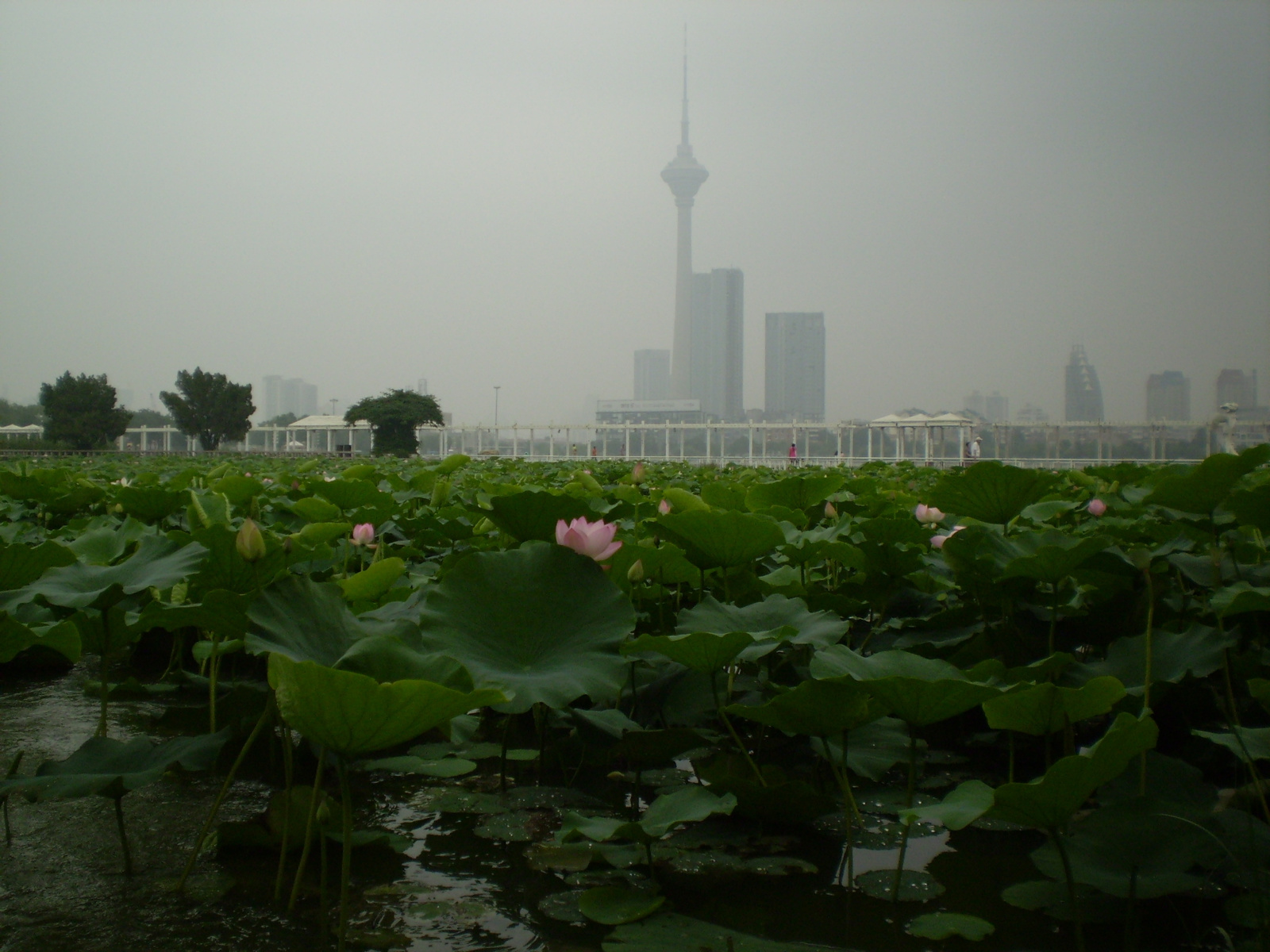 Tianjin water park