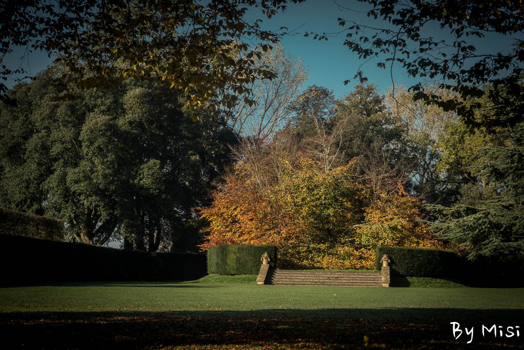 Hidcote Bird watch-47