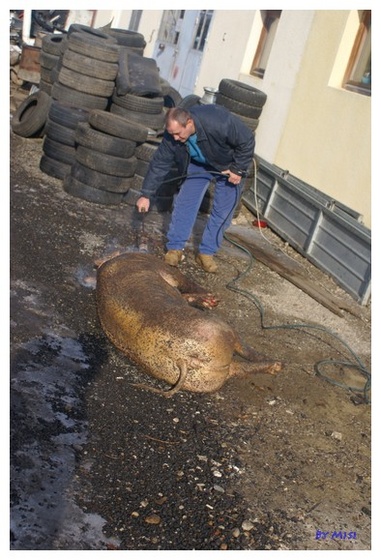 Instant szolárium