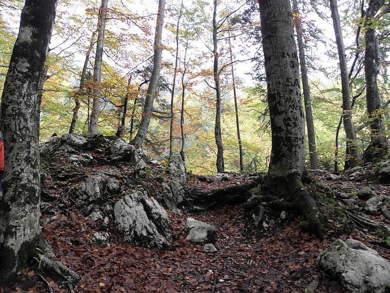 Triglav Nemzeti Park