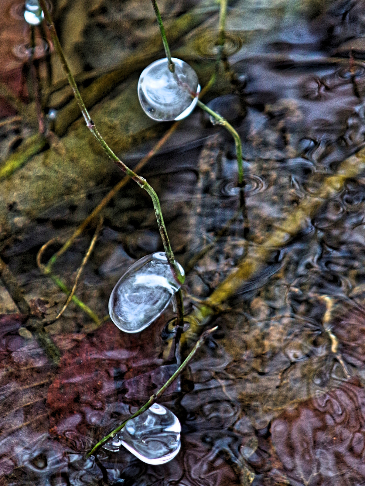 The ice bead game