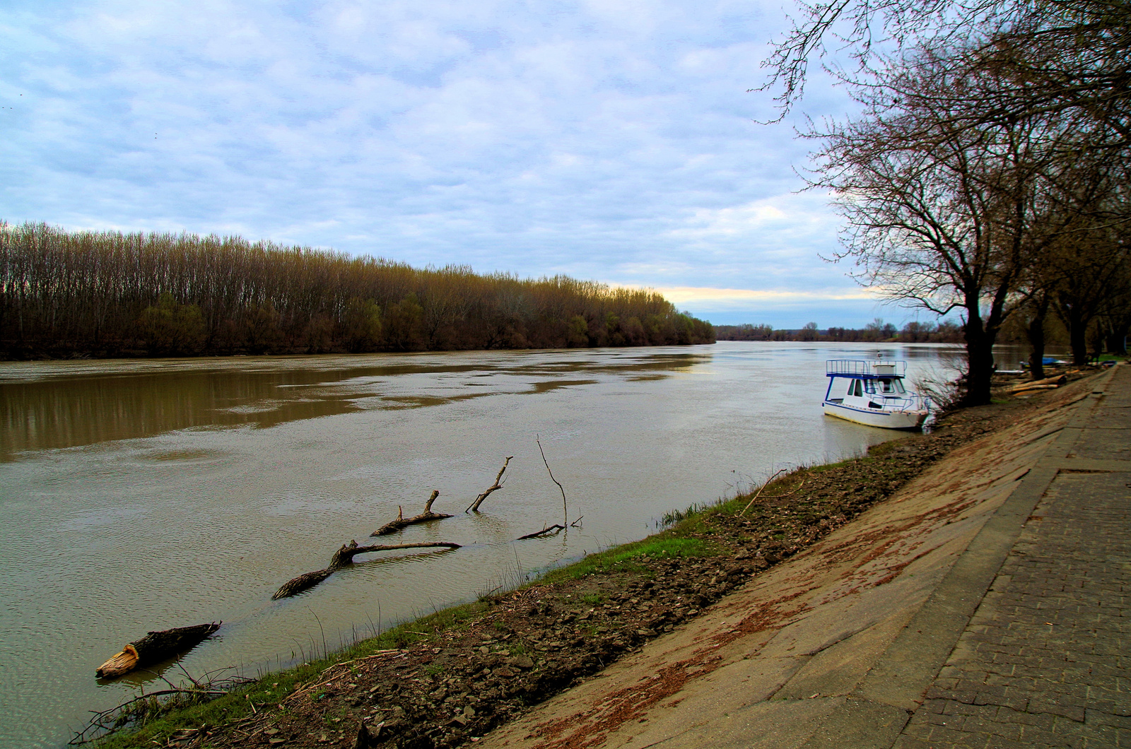 Tisza