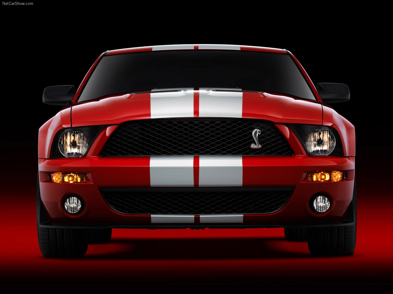 Ford-Mustang Shelby GT500 2007 1280x960 wallpaper 0d