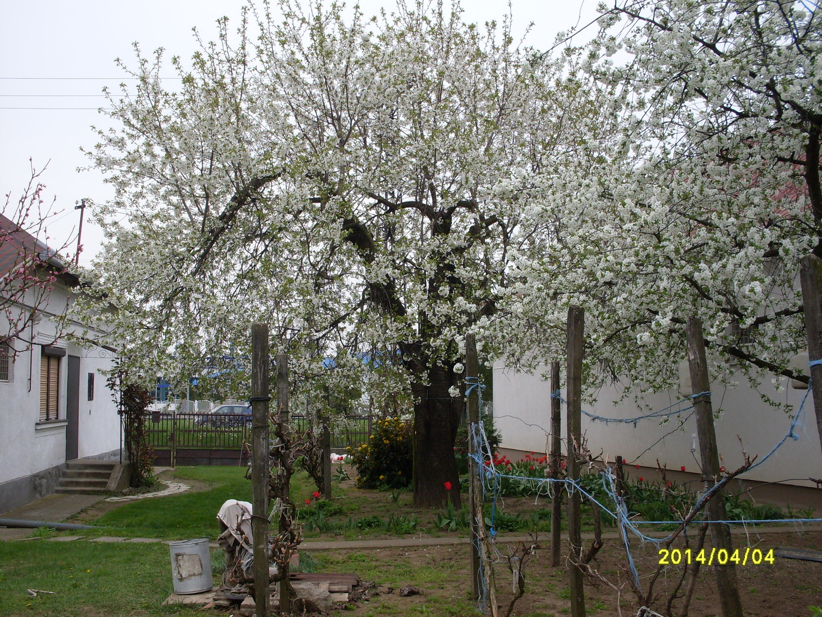 2014. 04. 06 vegyes képek 037