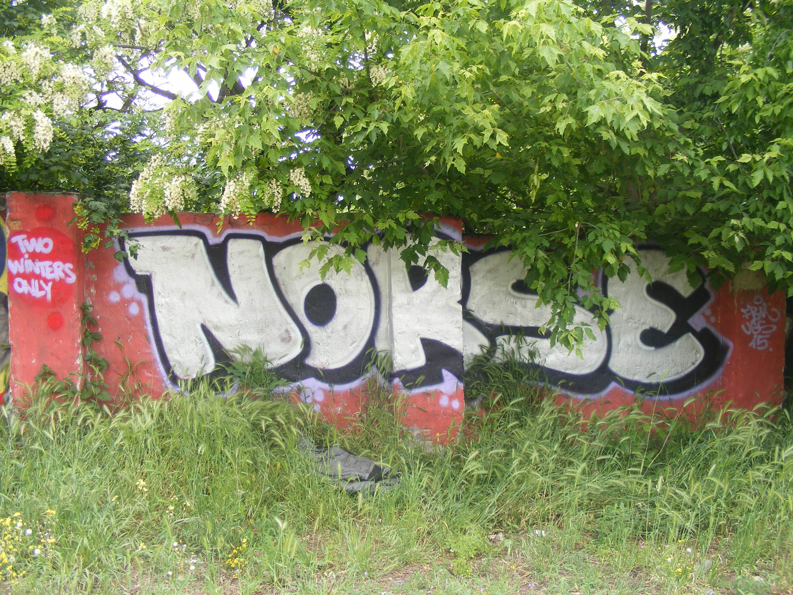 54- Norse