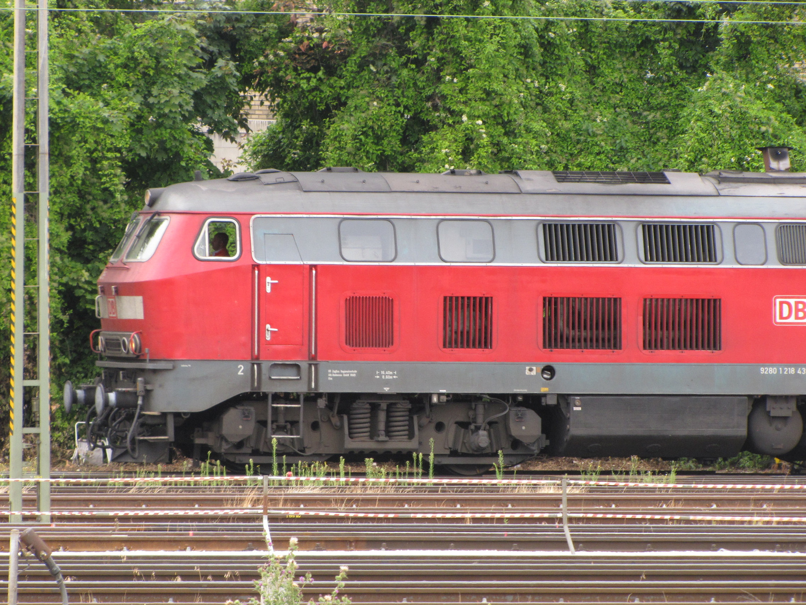 D-DB 92 80 1 218 431-5 (Ulm), SzG3