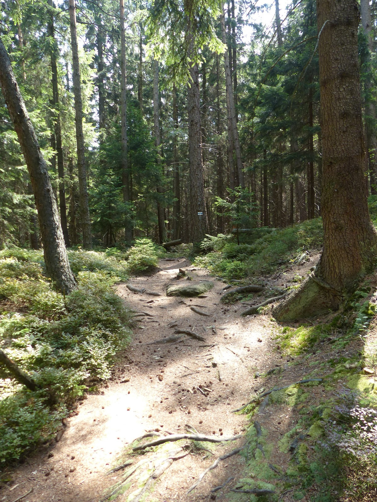 Radków, Radkowskie Skały i Filary Skalne, SzG3