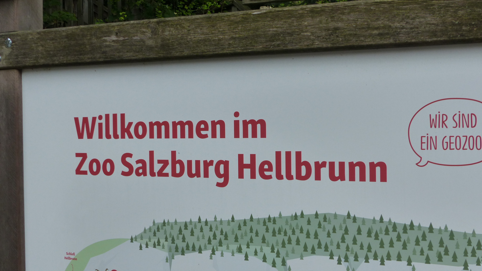 Salzburg, Hellbrunn, állatkert (zoo), SzG3