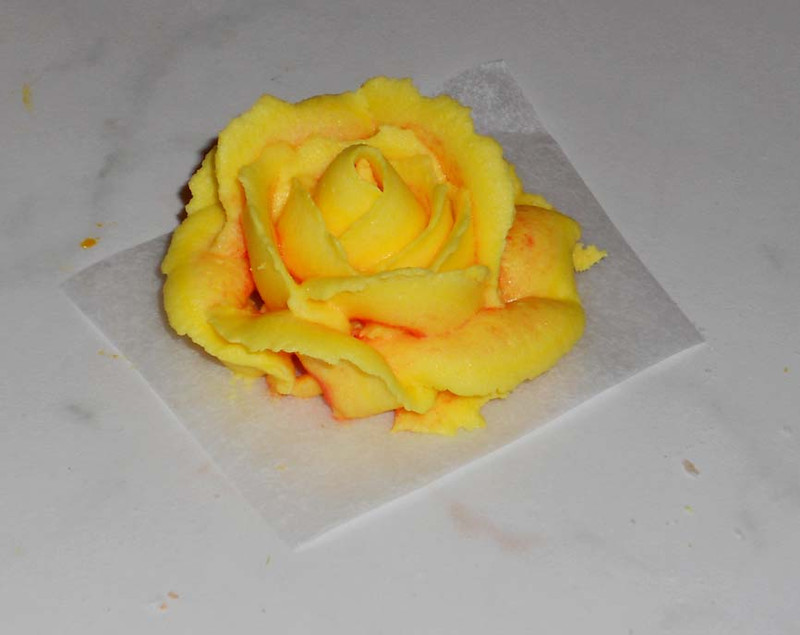 20110410 rózsa1