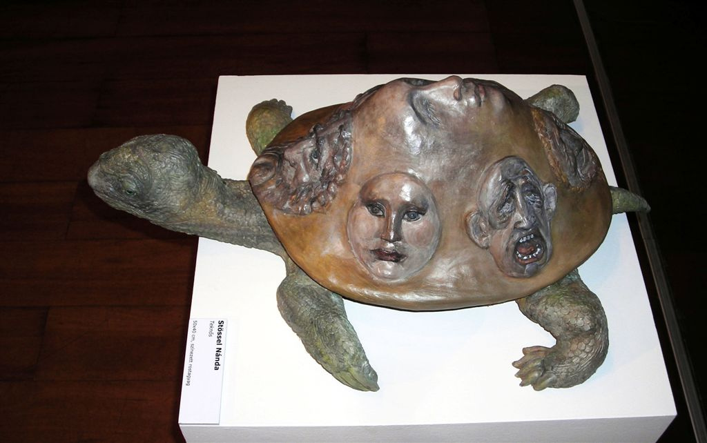 Stössel Nándor-teknős