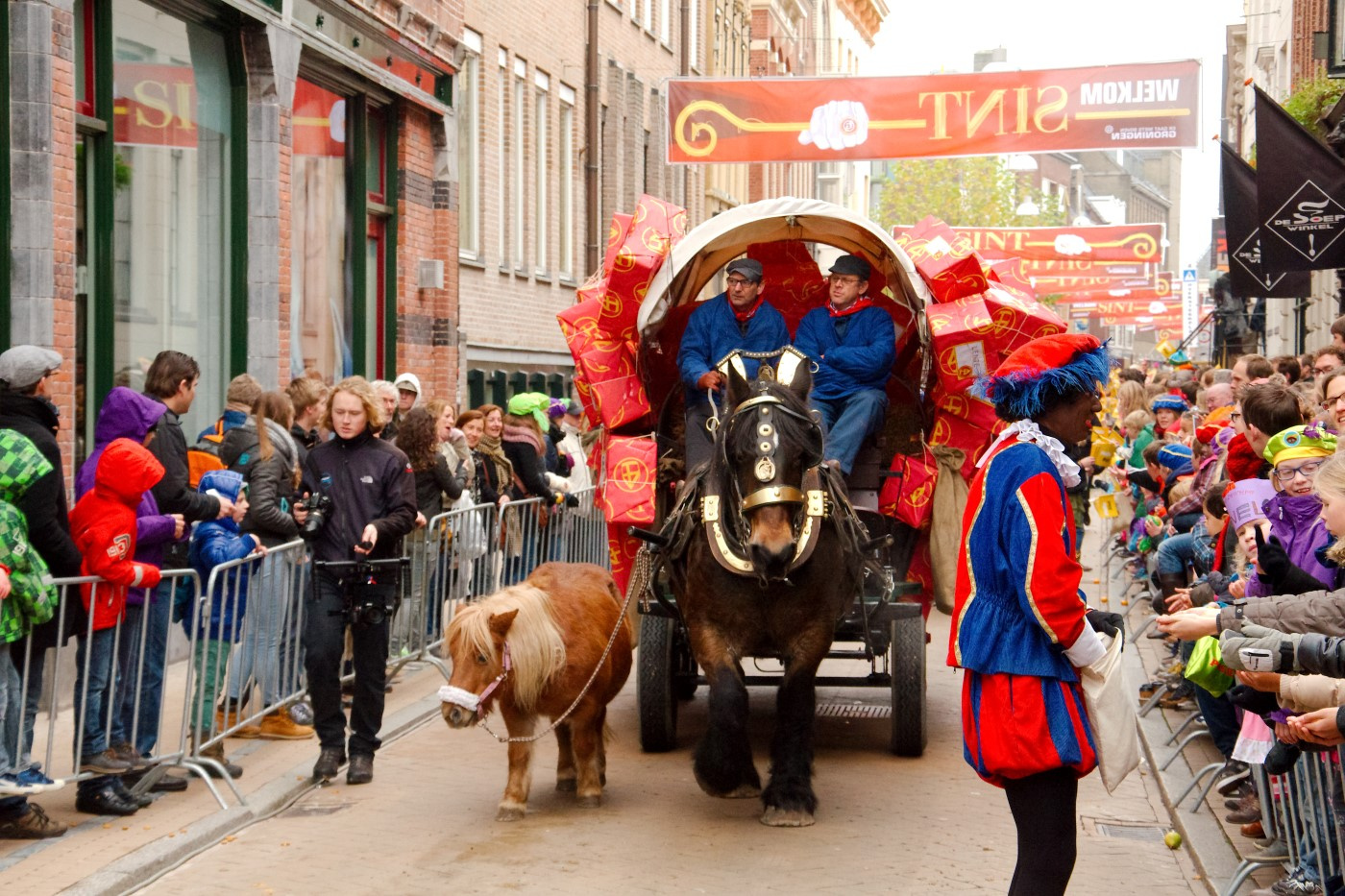 Sint2013-4859