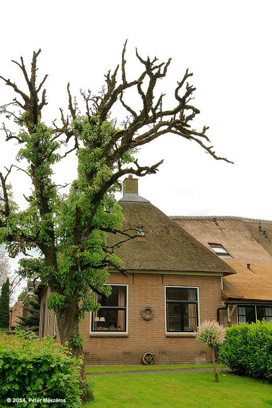 Giethoorn-5859