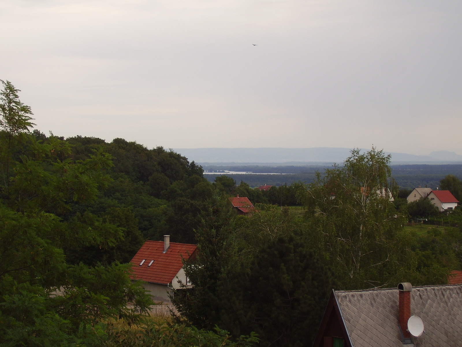 Kis-Balaton.